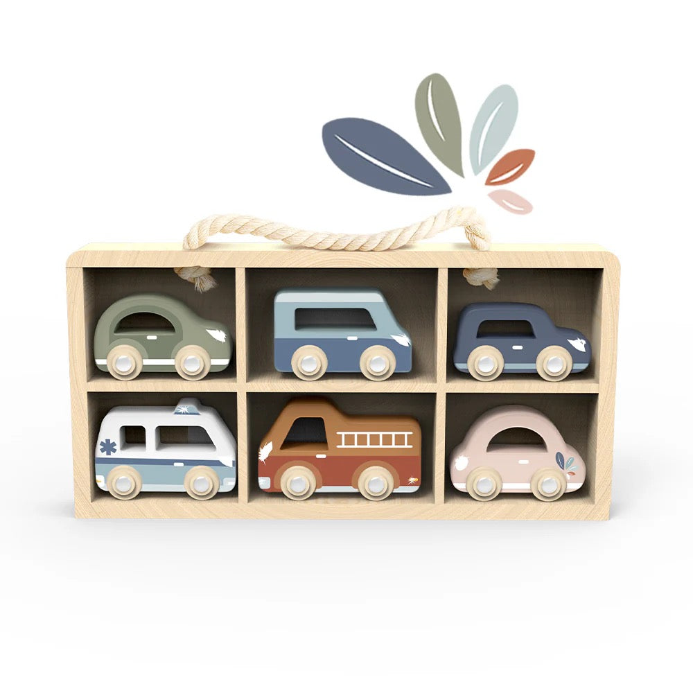 Speedy Monkey - Car Display case